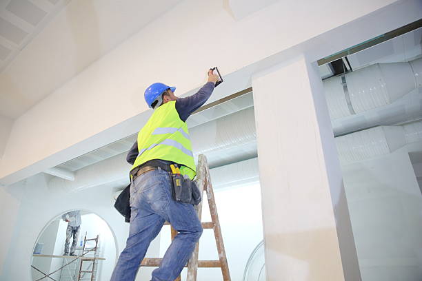 Best Water-Damaged Drywall Repair  in Tripoli, IA